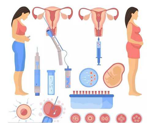 武汉有供卵试管婴儿吗,武汉供卵试管包生男孩费用_幸福代孕网