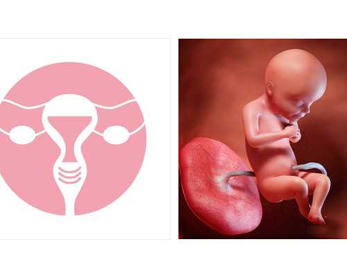 武汉代妈助孕价格,武汉同济医院做试管婴儿的具体流程是什么？