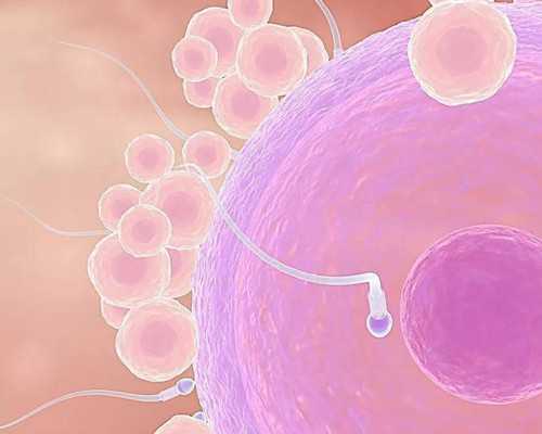 武汉靠谱的供卵试管机构,武汉地下供卵试管机构哪家比较靠谱